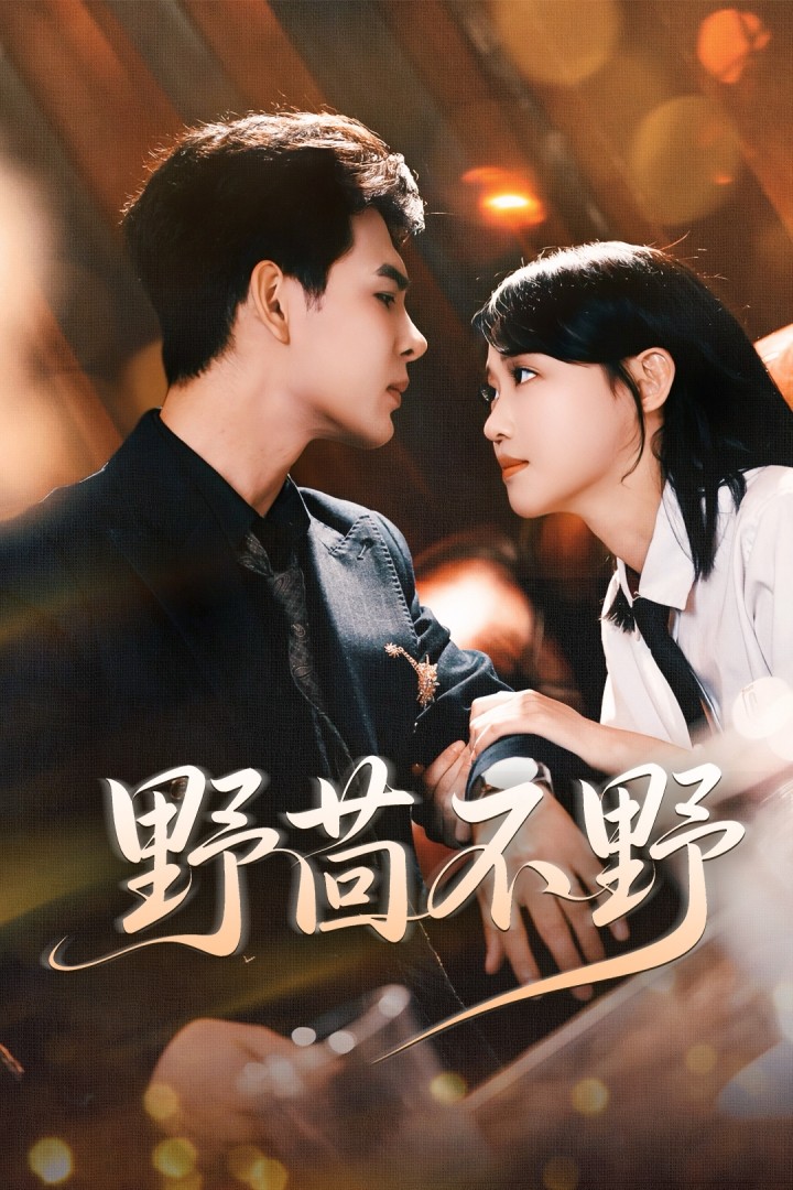 大夏剑主动态漫画的海报